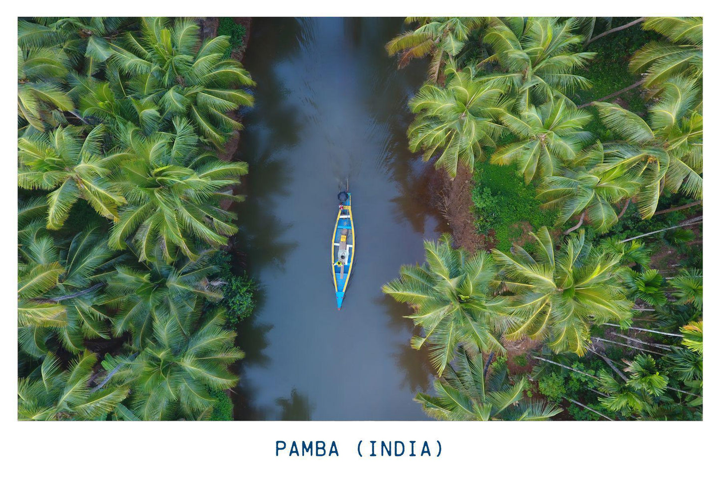 Pamba (India) - Peaberry - Light Roast