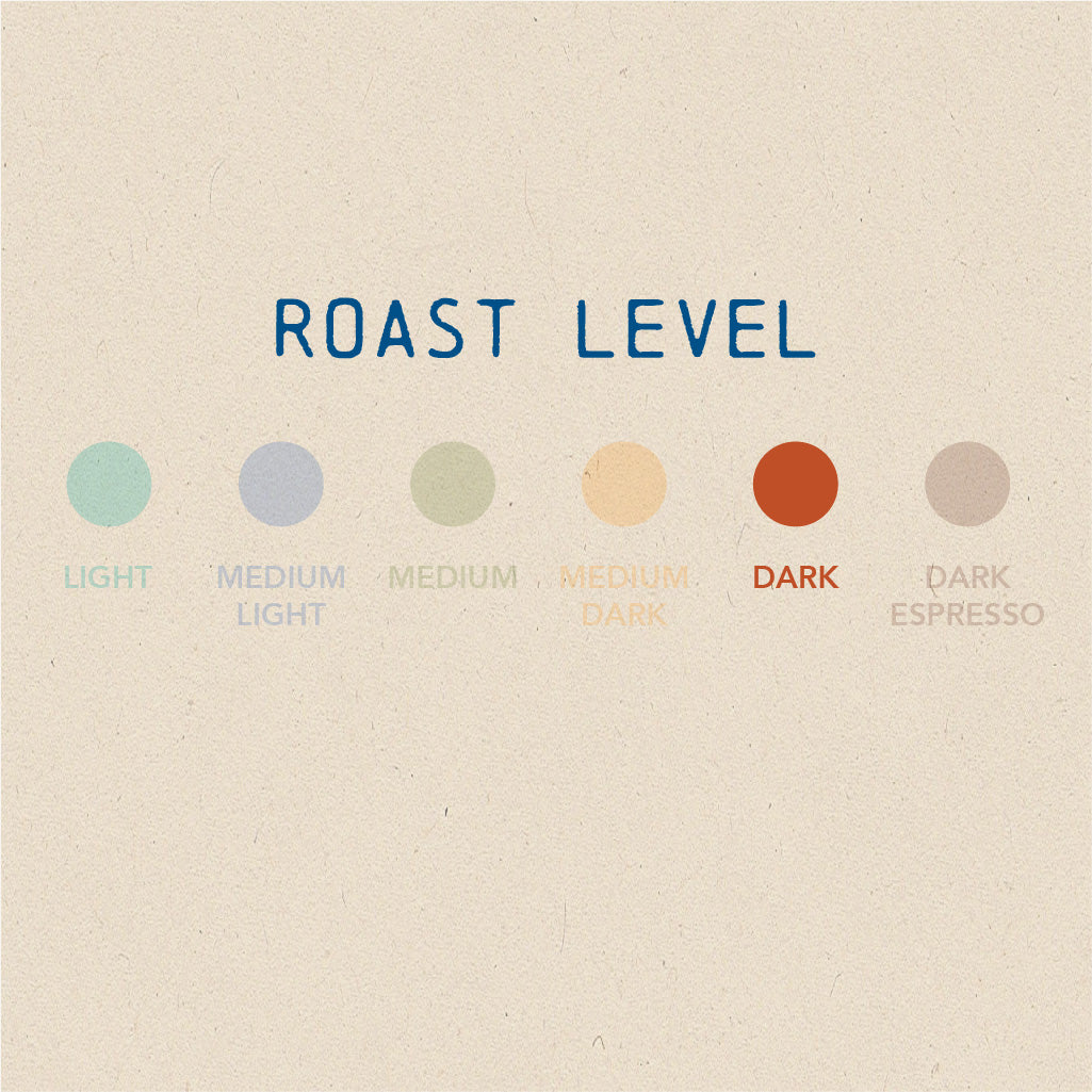Xalapa (Mexico) - Dark Roast