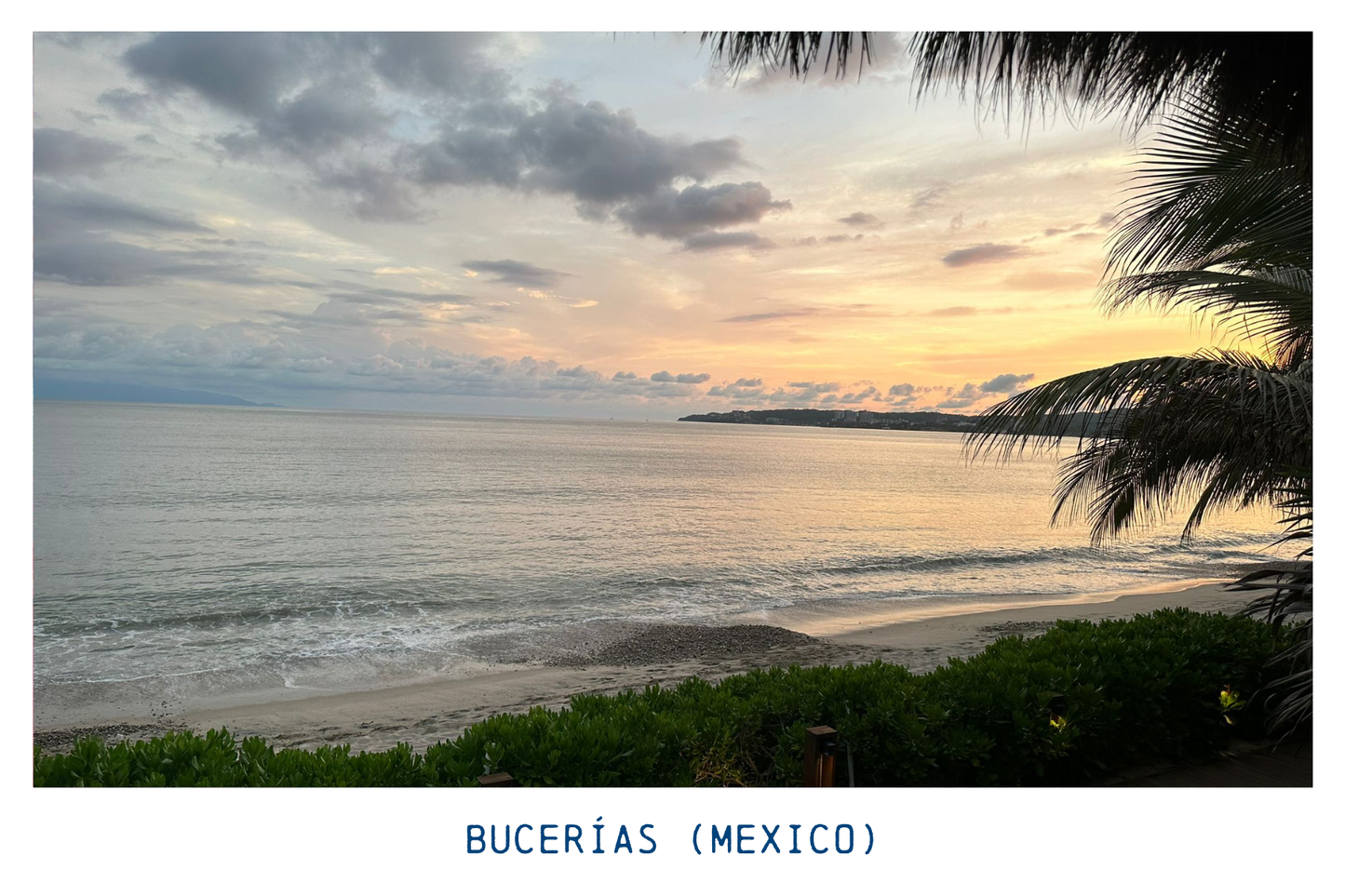 Bucerias (Mexico) Medium-Dark Roast