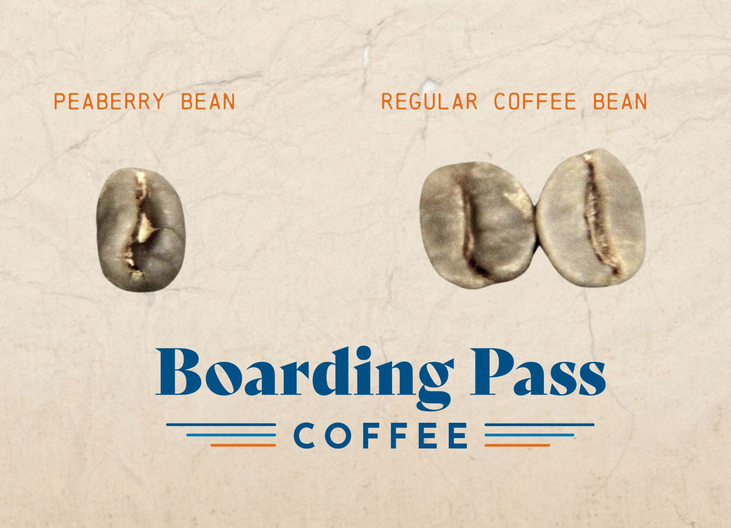 Retiro (Brazil) - Peaberry - Light Roast