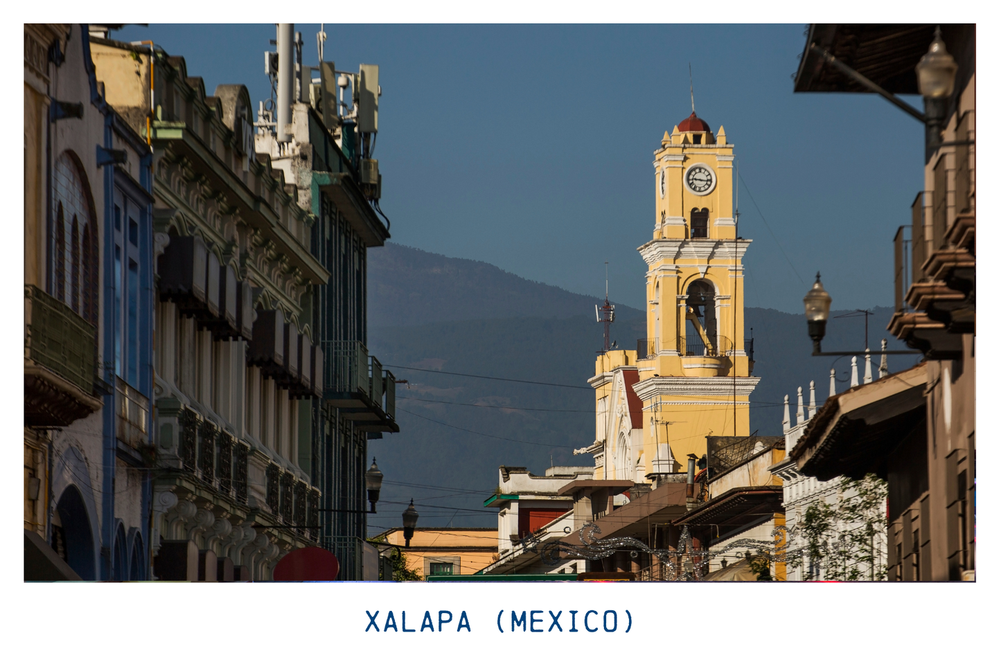 Xalapa (Mexico) Dark Roast