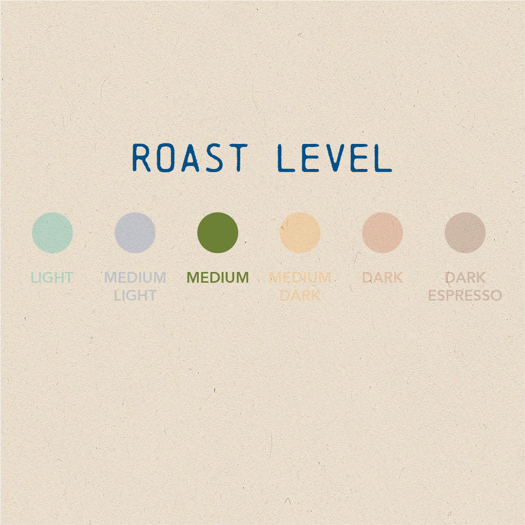 Sitio Potenza (Brazil) - Medium Roast