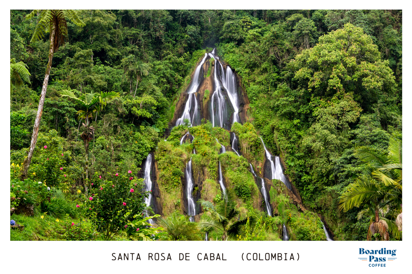 Santa Rosa de Cabal (Colombia) - DECAF - Medium-Dark Roast