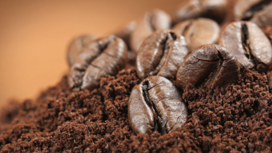 From Coffee Cup to Farm Soil: How Our Coffee Grounds Support Local Farms