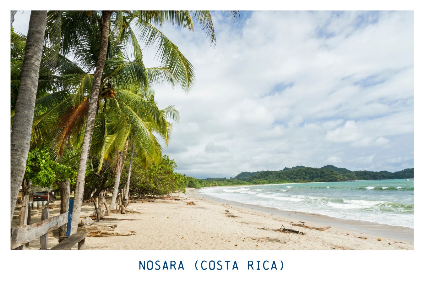 Nosara (Costa Rica) - Medium-Light **BRONZE MEDALIST IN THE GOLDEN BEAN ROASTING COMPETITION**