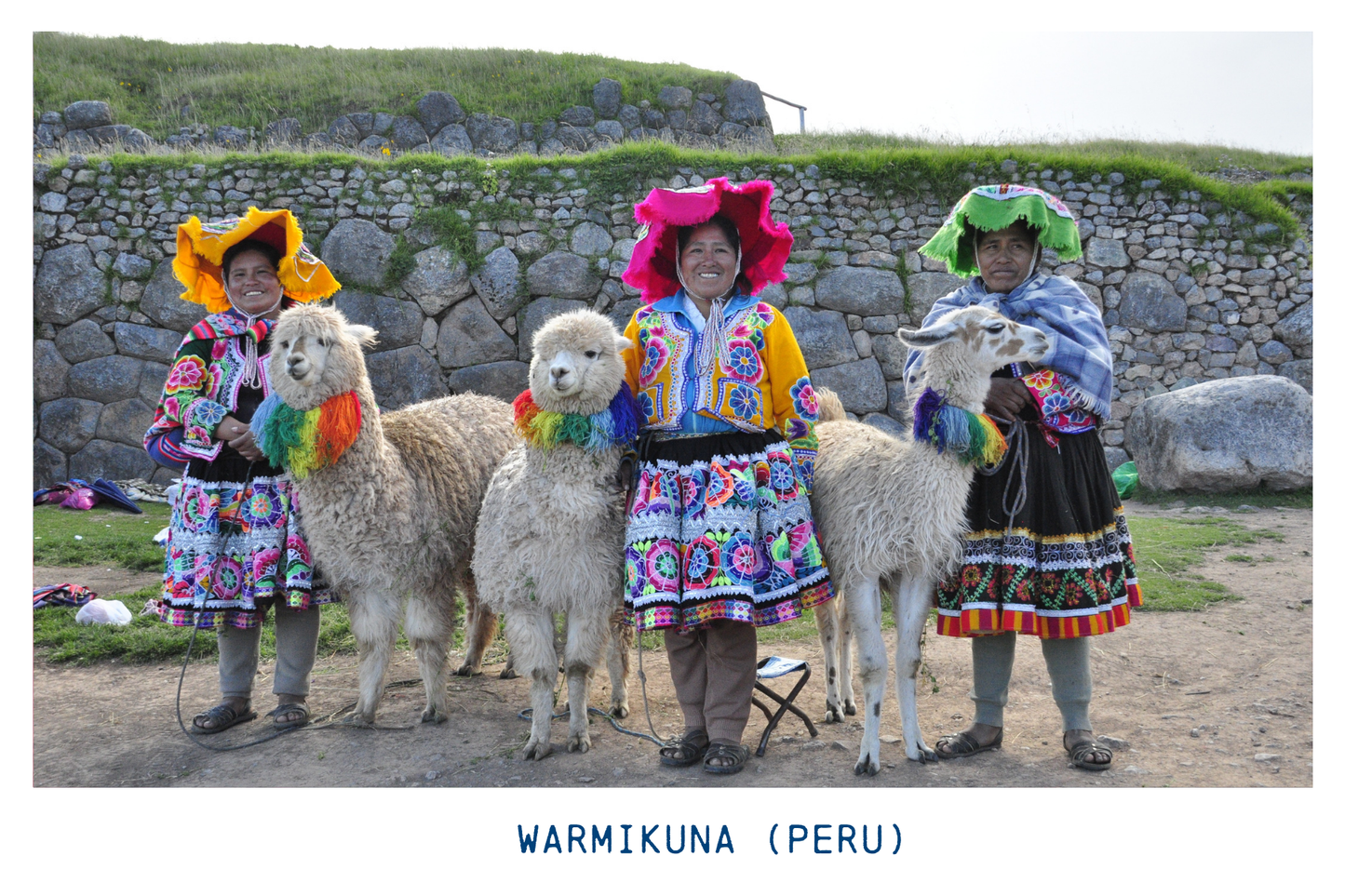 Warmikuna (Peru) Medium-Dark Roast