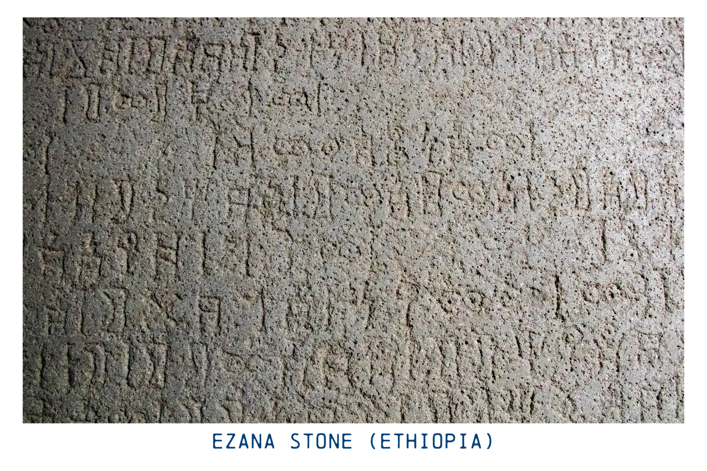 Ezana (Ethiopia) - Medium Roast