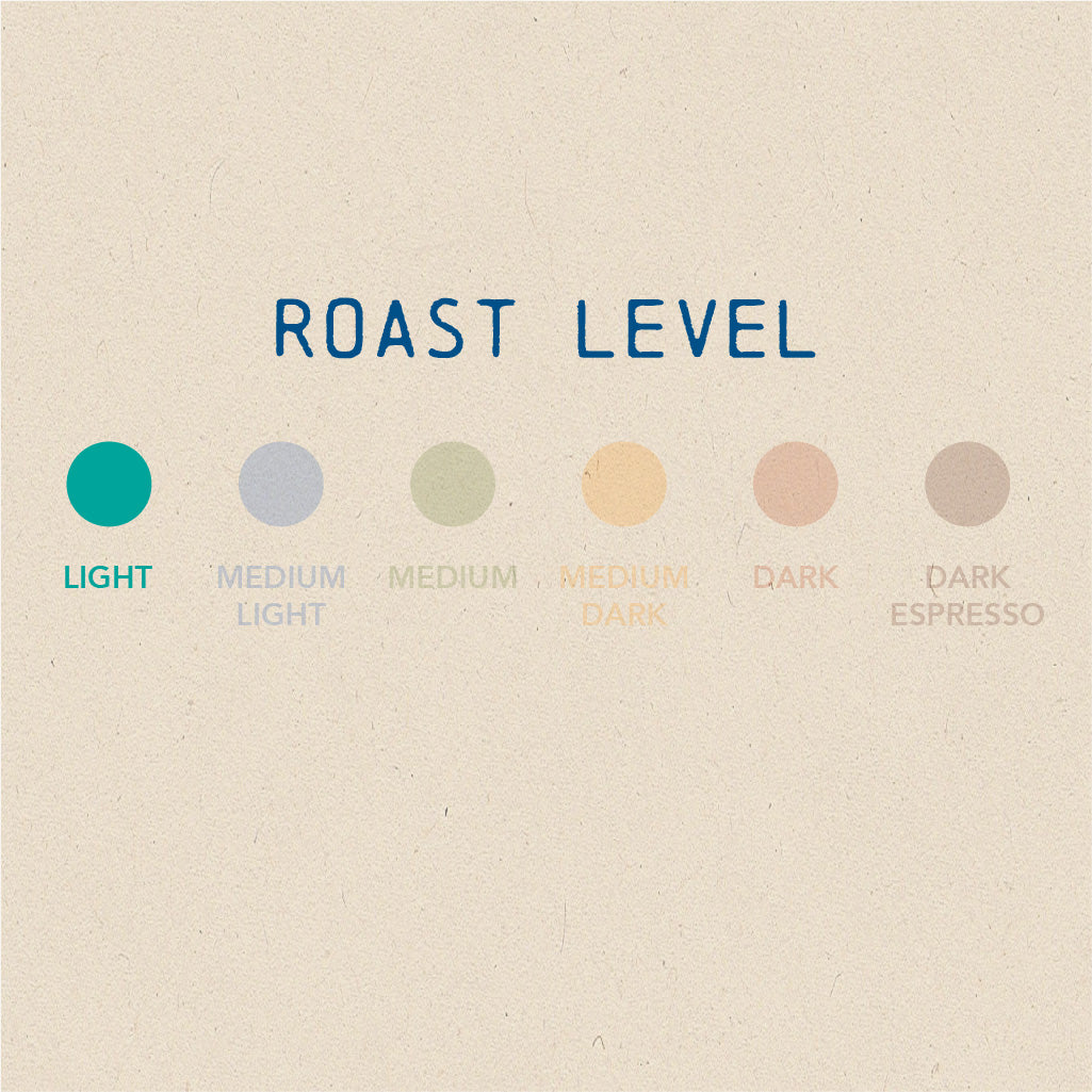 Monte Alegre (Brazil) - Light Roast