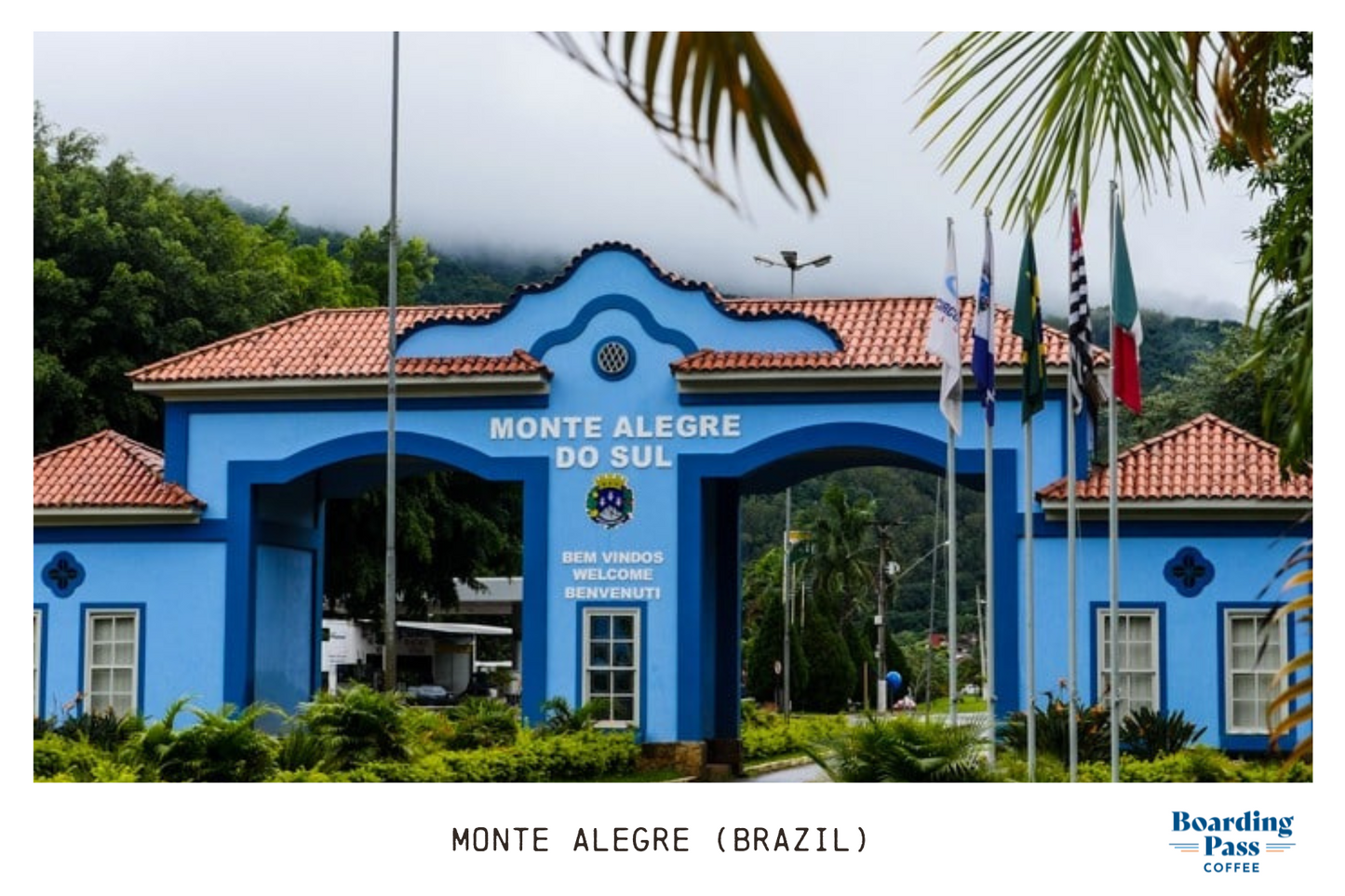 Monte Alegre (Brazil) - Light Roast