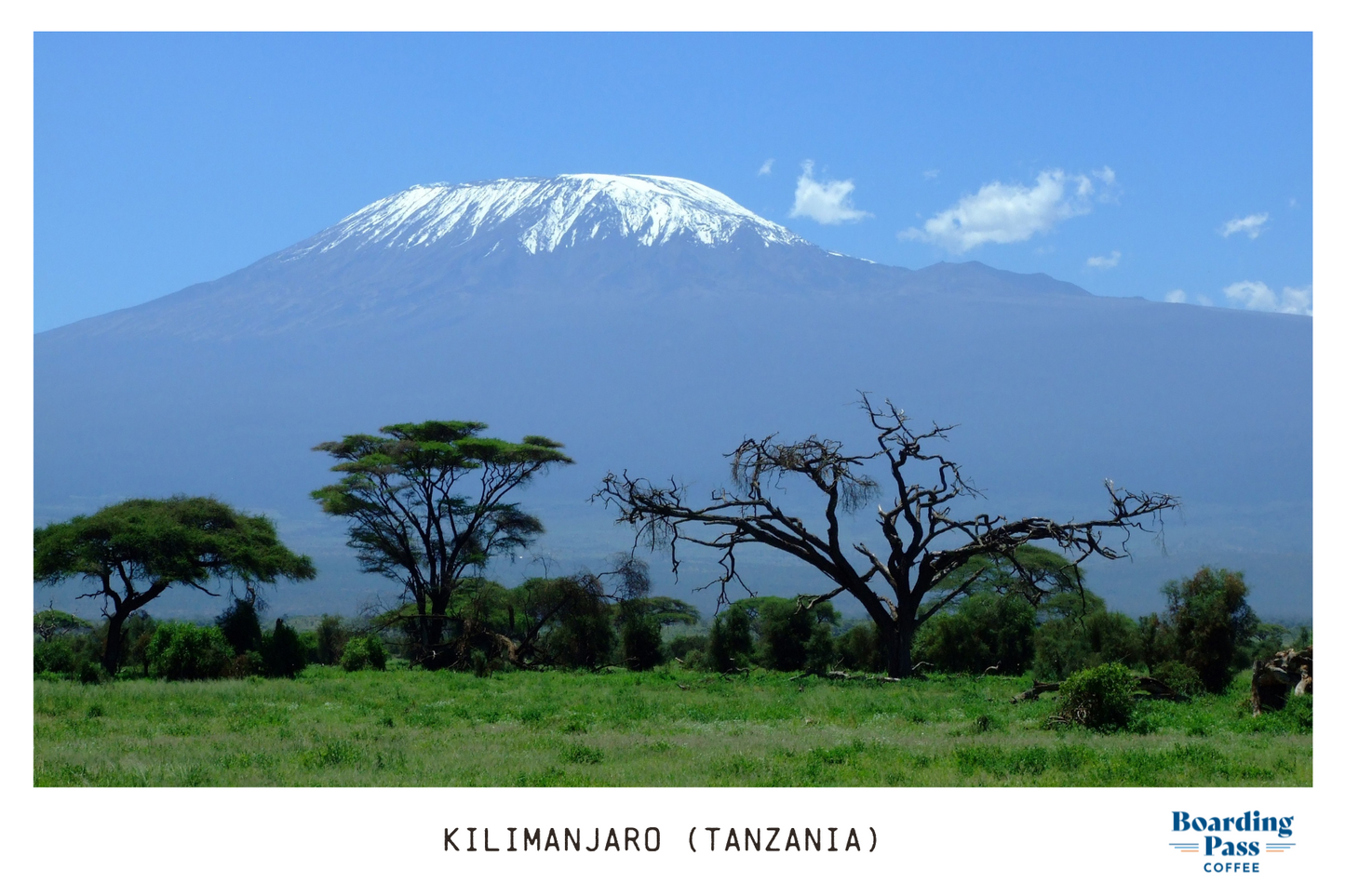 Kilimanjaro (Tanzania) - Dark Roast