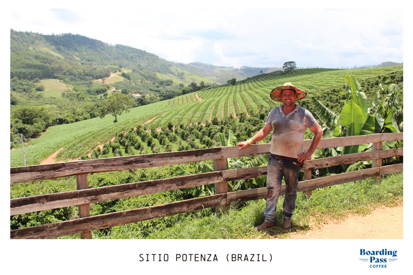 Sitio Potenza (Brazil) - Medium Roast